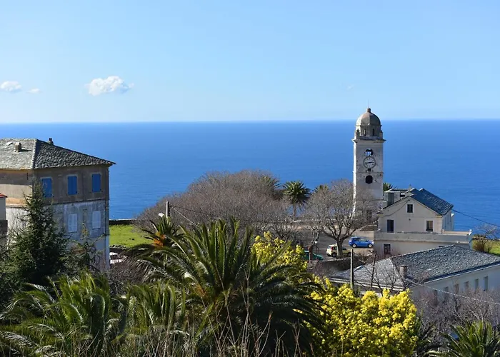 Des Moines-canelle * Canari